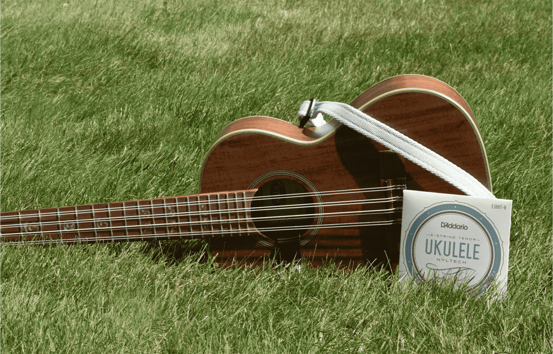Ukulele_Landingpage_hero.png
